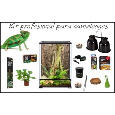 Kit completo para Camaleones